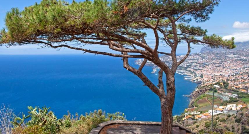 Berco Funchal Villa Luaran gambar